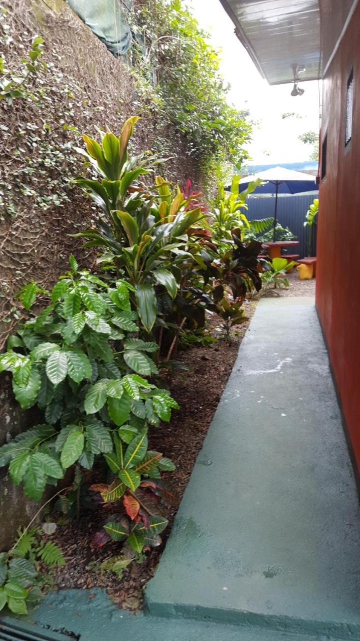 Red Frog Hotel La Fortuna Exterior photo