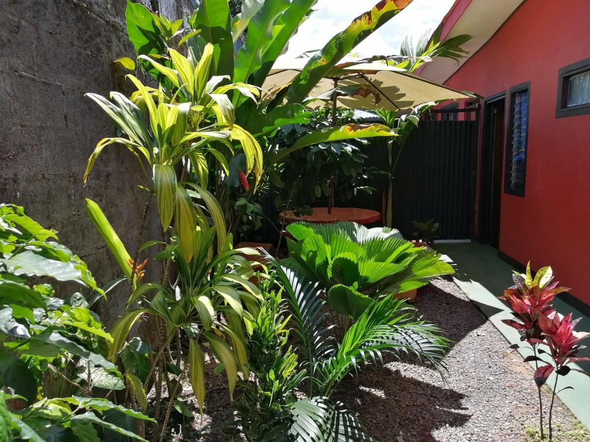 Red Frog Hotel La Fortuna Exterior photo